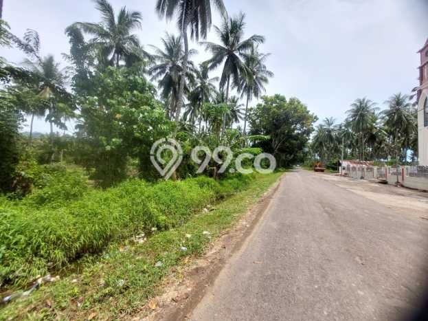 Tanah di Ratatotok, Luas 90000m2m², Area Premium, Prospek Menjanjikan Tanah di Ratatotok, Luas 90000m2m², Area Premium, Prospek Menjanjikan