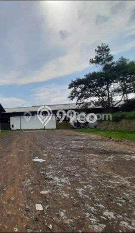 Disewakan Gudang di Kawasan Ramai Ujungberung Luas 7200m2 Disewakan Gudang di Kawasan Ramai Ujungberung Luas 7200m2