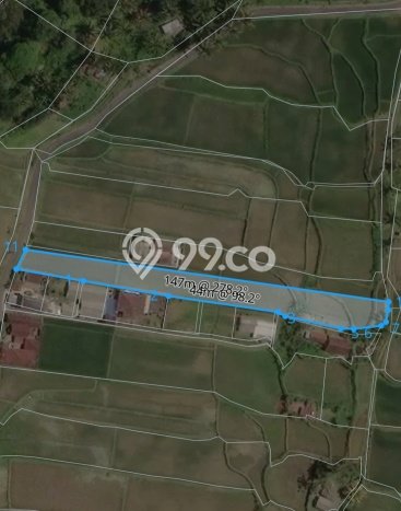 Tanah Kavling Dijual di Buahan, Gianyar dengan Luas Tanah 1575m2 Tanah Kavling Dijual di Buahan, Gianyar dengan Luas Tanah 1575m2