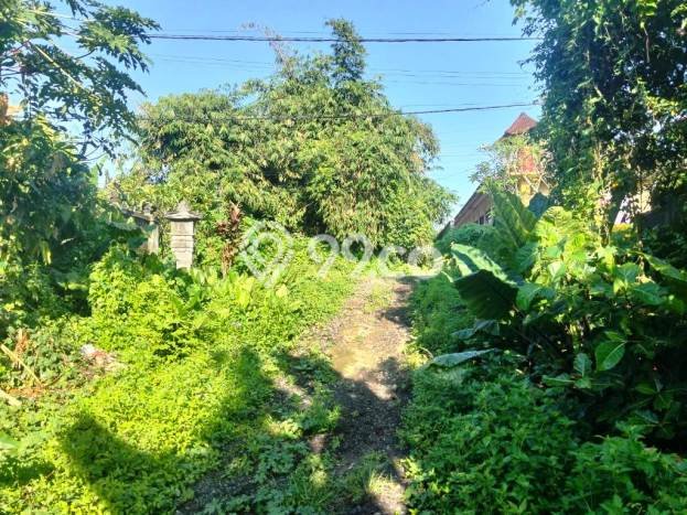 Kavling Tanah untuk Disewa di Singapadu Kaler Lahan Luas 5350m2 Kavling Tanah untuk Disewa di Singapadu Kaler Lahan Luas 5350m2