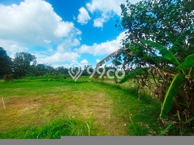 Tanah Kawasan Bukian, Luas 3300m², Area Strategis, Cocok untuk Properti Tanah Kawasan Bukian, Luas 3300m², Area Strategis, Cocok untuk Properti