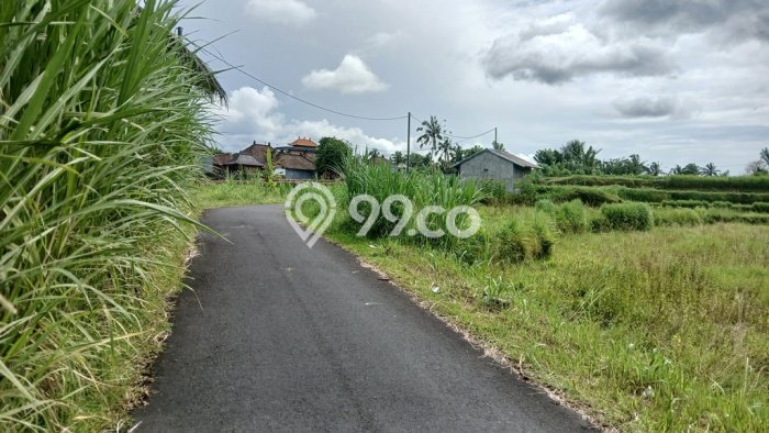 Tanah Kavling Dijual di Buahan, Gianyar dengan Luas Tanah 1575m2 Tanah Kavling Dijual di Buahan, Gianyar dengan Luas Tanah 1575m2