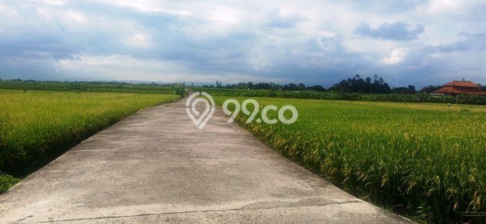 Tanah Kavling Dijual di Pandakbandung, Tabanan dengan Luas Tanah 160m2 Tanah Kavling Dijual di Pandakbandung, Tabanan dengan Luas Tanah 160m2