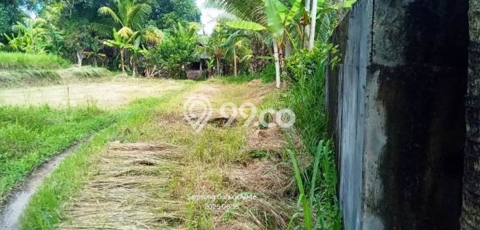 Lahan Strategis di Ubud Gianyar Disewakan dengan Luas 6000m2 Lahan Strategis di Ubud Gianyar Disewakan dengan Luas 6000m2