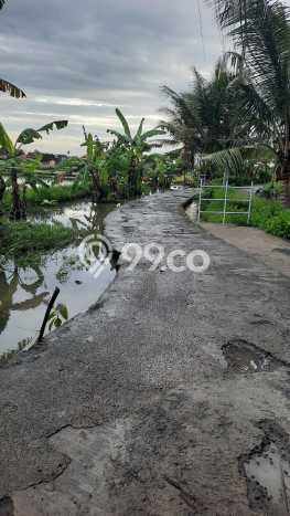 Tanah Potensial di Singekerta, Luas 2350m², Disewakan Tanah Potensial di Singekerta, Luas 2350m², Disewakan