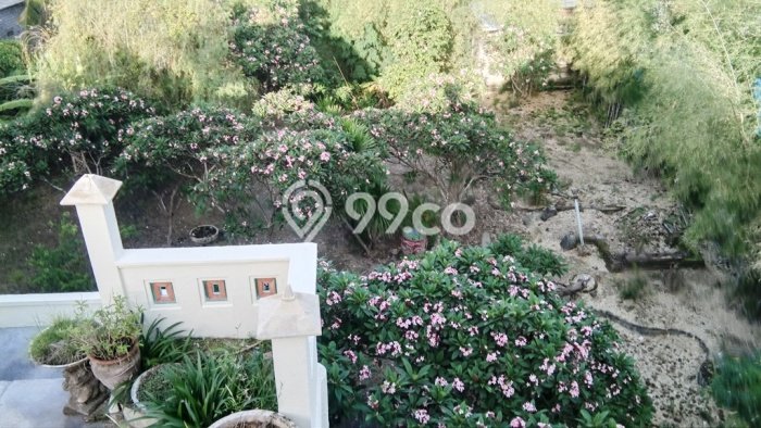 Gudang Bagus Dijual LB 1200m2 Lokasi Strategis Gianyar Area Cocok untuk Berbisnis Gudang Bagus Dijual LB 1200m2 Lokasi Strategis Gianyar Area Cocok untuk Berbisnis