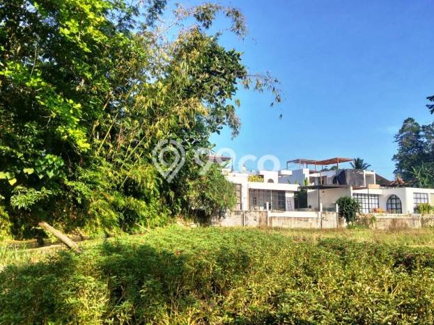 Kavling Tanah untuk Disewa di Singapadu Kaler Lahan Luas 5350m2 Kavling Tanah untuk Disewa di Singapadu Kaler Lahan Luas 5350m2