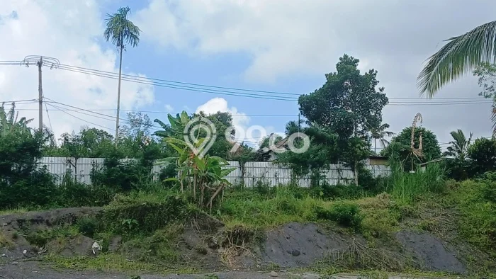Tanah Strategis di Buahan, Luas 3000m², For Rent Tanah Strategis di Buahan, Luas 3000m², For Rent