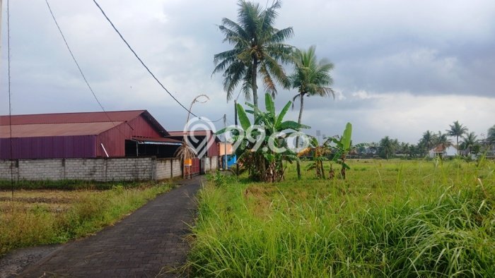 Untuk Dijual Tanah 1620m2 di Buruan, Gianyar Untuk Dijual Tanah 1620m2 di Buruan, Gianyar