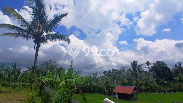 Tanah Strategis di Buahan, Luas 3000m², For Rent Tanah Strategis di Buahan, Luas 3000m², For Rent