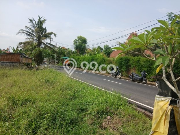 Tanah Disewakan Kawasan Ubud, Luas 1180m², Ideal untuk Bisnis Tanah Disewakan Kawasan Ubud, Luas 1180m², Ideal untuk Bisnis