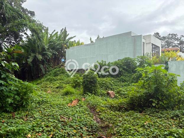 Kavling Tanah untuk Disewa di Singapadu Kaler Lahan Luas 5350m2 Kavling Tanah untuk Disewa di Singapadu Kaler Lahan Luas 5350m2