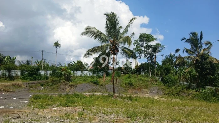 Tanah Strategis di Buahan, Luas 3000m², For Rent Tanah Strategis di Buahan, Luas 3000m², For Rent