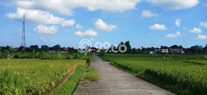 Tanah Kavling Dijual di Pandakbandung, Tabanan dengan Luas Tanah 160m2 Tanah Kavling Dijual di Pandakbandung, Tabanan dengan Luas Tanah 160m2