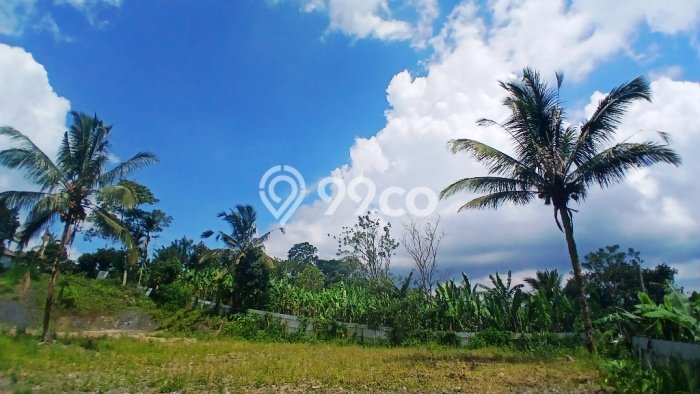 Tanah Strategis di Buahan, Luas 3000m², For Rent Tanah Strategis di Buahan, Luas 3000m², For Rent