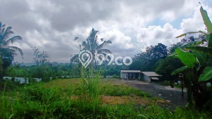 Tanah Strategis di Buahan, Luas 3000m², For Rent Tanah Strategis di Buahan, Luas 3000m², For Rent