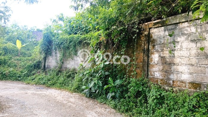 Dijual Tanah Lokasi Petulu, Gianyar Seluas 2015m2 Dijual Tanah Lokasi Petulu, Gianyar Seluas 2015m2
