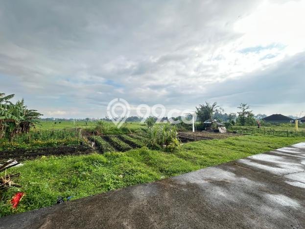 Tanah Kavling Dijual di Pandakbandung, Tabanan dengan Luas Tanah 160m2 Tanah Kavling Dijual di Pandakbandung, Tabanan dengan Luas Tanah 160m2