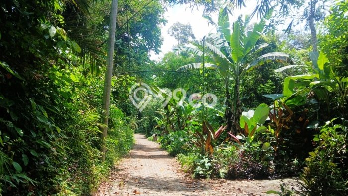 Tanah Dijual Area Strategis di Bedulu Gianyar 2708m2 Tanah Dijual Area Strategis di Bedulu Gianyar 2708m2