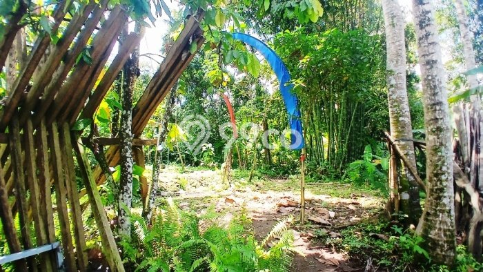 Tanah Dijual Area Strategis di Bedulu Gianyar 2708m2 Tanah Dijual Area Strategis di Bedulu Gianyar 2708m2
