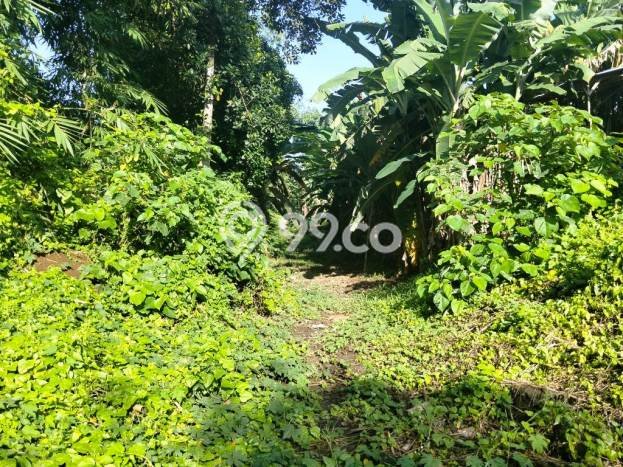 Kavling Tanah untuk Disewa di Singapadu Kaler Lahan Luas 5350m2 Kavling Tanah untuk Disewa di Singapadu Kaler Lahan Luas 5350m2
