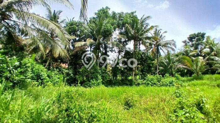 Lahan Strategis di Ubud Gianyar Disewakan dengan Luas 6000m2 Lahan Strategis di Ubud Gianyar Disewakan dengan Luas 6000m2
