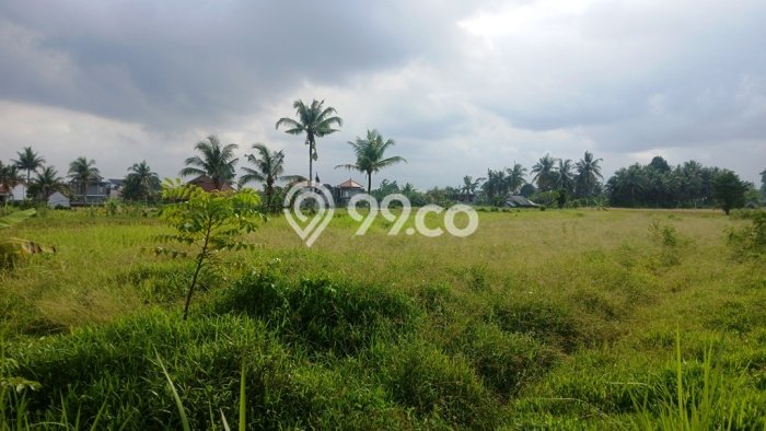 Untuk Dijual Tanah 1620m2 di Buruan, Gianyar Untuk Dijual Tanah 1620m2 di Buruan, Gianyar