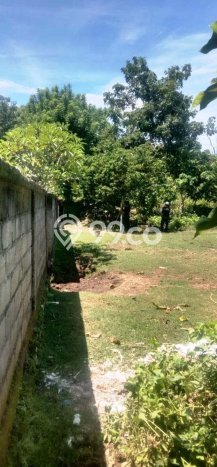 Lahan untuk Disewa di Badung Luas 987m2 Lahan untuk Disewa di Badung Luas 987m2