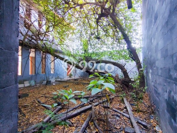 Rumah 3 Kamar Tidur Pusat Kota Denpasar Rumah 3 Kamar Tidur Pusat Kota Denpasar