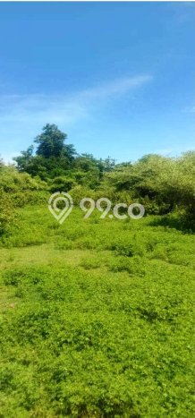 Lahan untuk Disewa di Badung Luas 987m2 Lahan untuk Disewa di Badung Luas 987m2