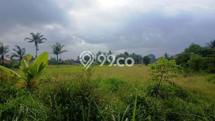Untuk Dijual Tanah 1620m2 di Buruan, Gianyar Untuk Dijual Tanah 1620m2 di Buruan, Gianyar