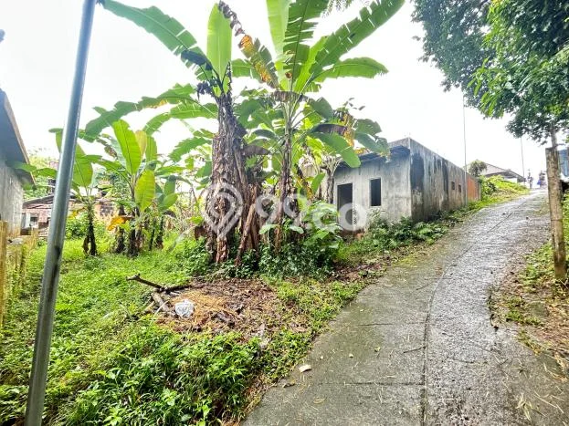 Tanah di Kediri, Tabanan Luas 500m2 Dijual Segera Tanah di Kediri, Tabanan Luas 500m2 Dijual Segera