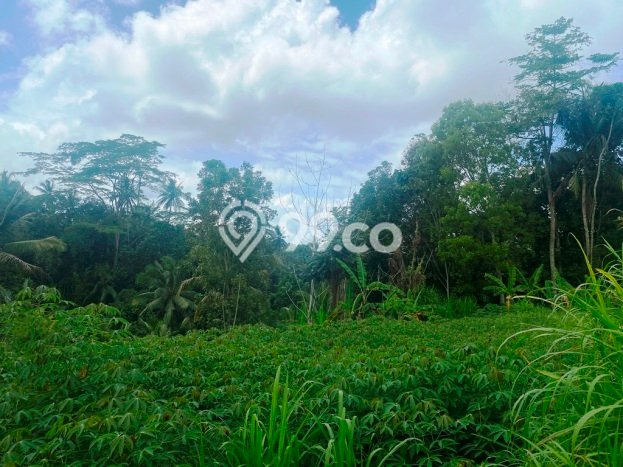 Tanah Kawasan Bukian, Luas 3300m², Area Strategis, Cocok untuk Properti Tanah Kawasan Bukian, Luas 3300m², Area Strategis, Cocok untuk Properti
