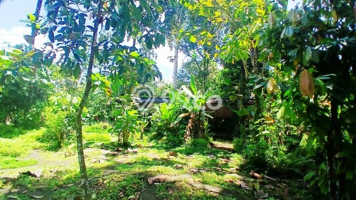 Tanah Dijual Area Strategis di Bedulu Gianyar 2708m2 Tanah Dijual Area Strategis di Bedulu Gianyar 2708m2
