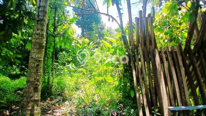 Tanah Dijual Area Strategis di Bedulu Gianyar 2708m2 Tanah Dijual Area Strategis di Bedulu Gianyar 2708m2