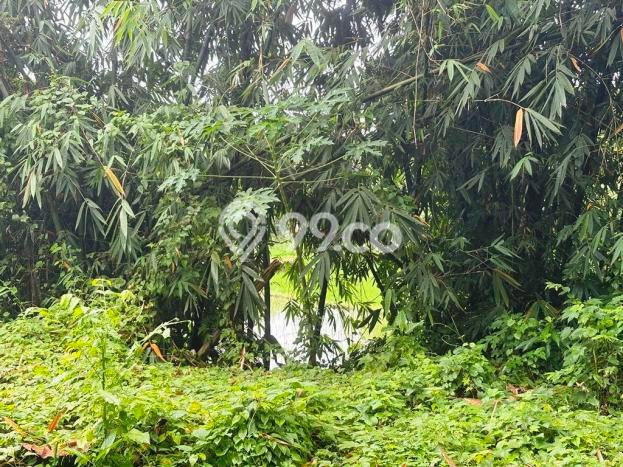 Kavling Tanah untuk Disewa di Singapadu Kaler Lahan Luas 5350m2 Kavling Tanah untuk Disewa di Singapadu Kaler Lahan Luas 5350m2