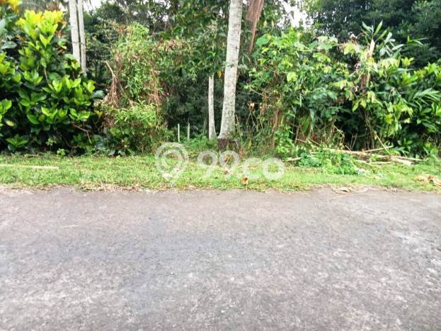 Lahan Kosong Dijual di Selemadeg, Tabanan, Luas 9575m2 Area Strategis Lahan Kosong Dijual di Selemadeg, Tabanan, Luas 9575m2 Area Strategis