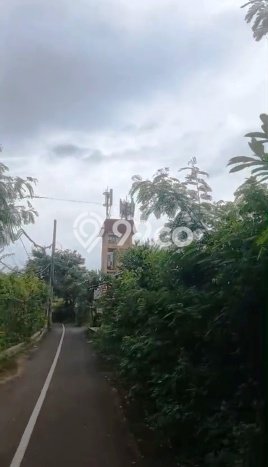 Tanah Investasi Dijual di Badung Punya Luas 1400m2 Tanah Investasi Dijual di Badung Punya Luas 1400m2
