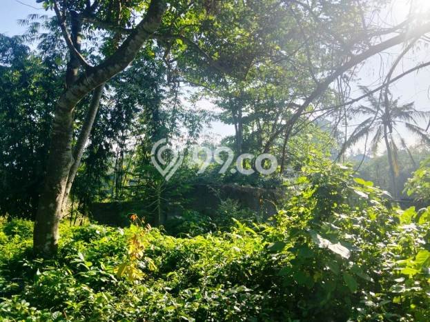 Kavling Tanah untuk Disewa di Singapadu Kaler Lahan Luas 5350m2 Kavling Tanah untuk Disewa di Singapadu Kaler Lahan Luas 5350m2