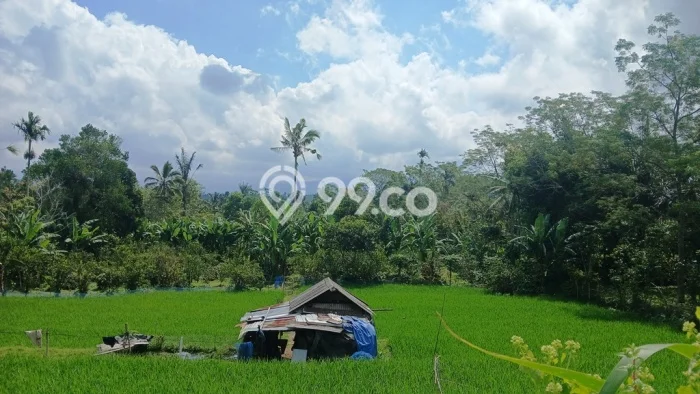Tanah Strategis di Buahan, Luas 3000m², For Rent Tanah Strategis di Buahan, Luas 3000m², For Rent