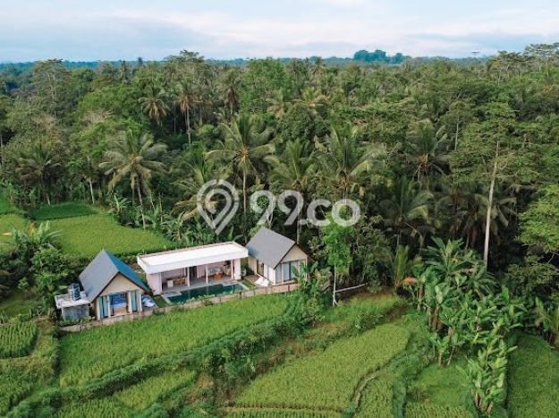 Rumah LT 1200m² / LB 400m² View Laut di Payangan, Gianyar Rumah LT 1200m² / LB 400m² View Laut di Payangan, Gianyar