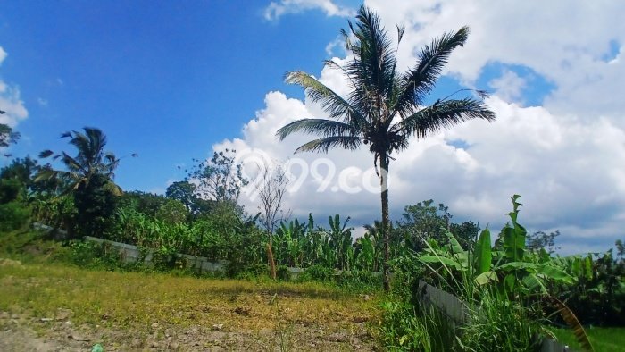Tanah Strategis di Buahan, Luas 3000m², For Rent Tanah Strategis di Buahan, Luas 3000m², For Rent