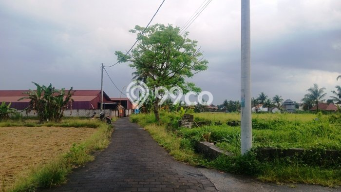 Untuk Dijual Tanah 1620m2 di Buruan, Gianyar Untuk Dijual Tanah 1620m2 di Buruan, Gianyar