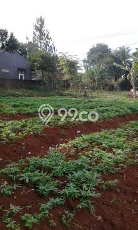 Tanah Kavling untuk Dijual di Tajur Halang Bogor 1296m2 Tanah Kavling untuk Dijual di Tajur Halang Bogor 1296m2