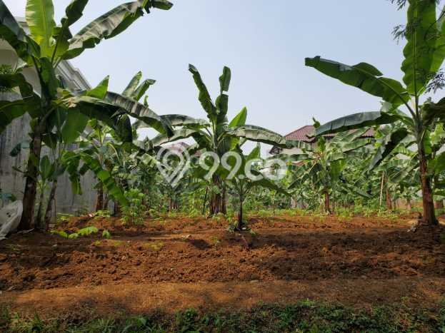 Lahan untuk Dijual Lokasi Bogor Timur, Bogor Luas 745m2 SHM Lahan untuk Dijual Lokasi Bogor Timur, Bogor Luas 745m2 SHM