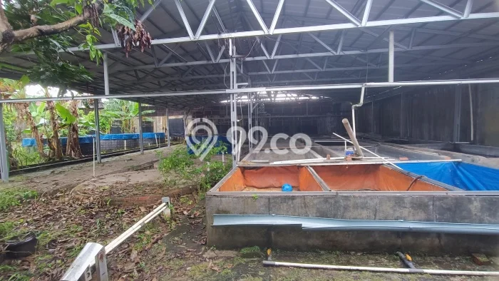 Gudang Disewa di Bogor Barat, Bogor, LT 1600m2 / LB 100m2 Gudang Disewa di Bogor Barat, Bogor, LT 1600m2 / LB 100m2