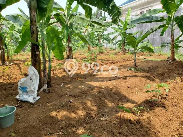 Lahan untuk Dijual Lokasi Bogor Timur, Bogor Luas 745m2 SHM Lahan untuk Dijual Lokasi Bogor Timur, Bogor Luas 745m2 SHM