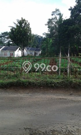 Tanah Kavling untuk Dijual di Tajur Halang Bogor 1296m2 Tanah Kavling untuk Dijual di Tajur Halang Bogor 1296m2