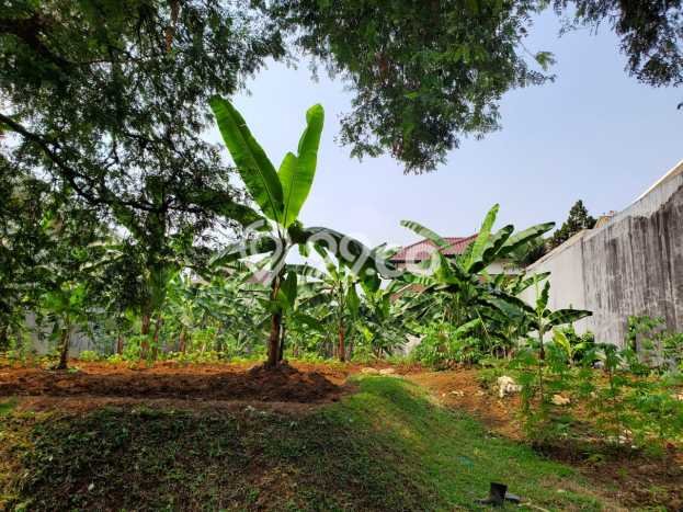 Lahan untuk Dijual Lokasi Bogor Timur, Bogor Luas 745m2 SHM Lahan untuk Dijual Lokasi Bogor Timur, Bogor Luas 745m2 SHM
