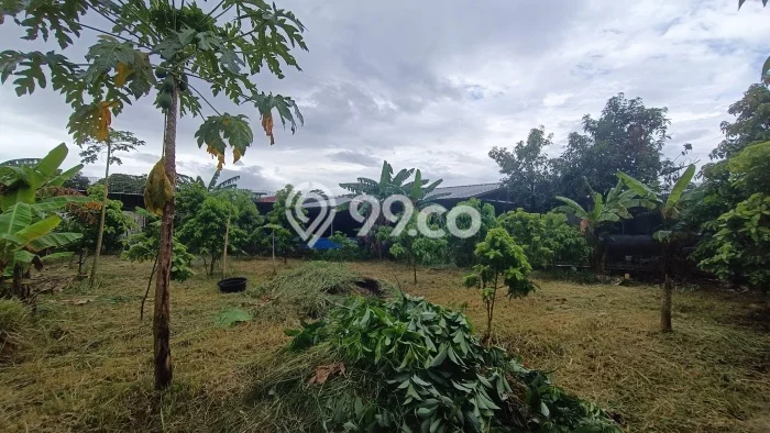 Gudang Disewa di Bogor Barat, Bogor, LT 1600m2 / LB 100m2 Gudang Disewa di Bogor Barat, Bogor, LT 1600m2 / LB 100m2